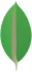 mongoDB logo
